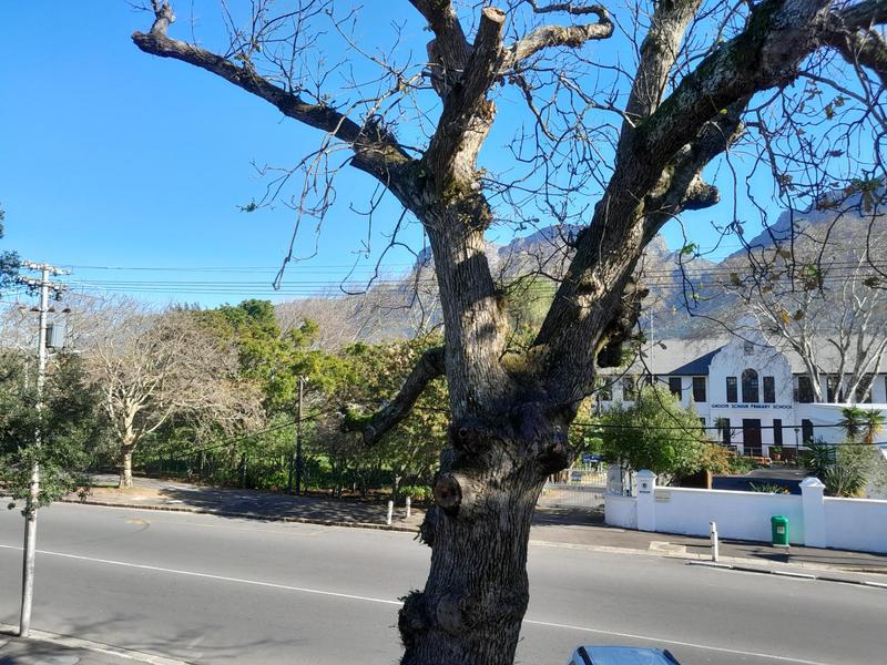 To Let 0 Bedroom Property for Rent in Rondebosch Western Cape